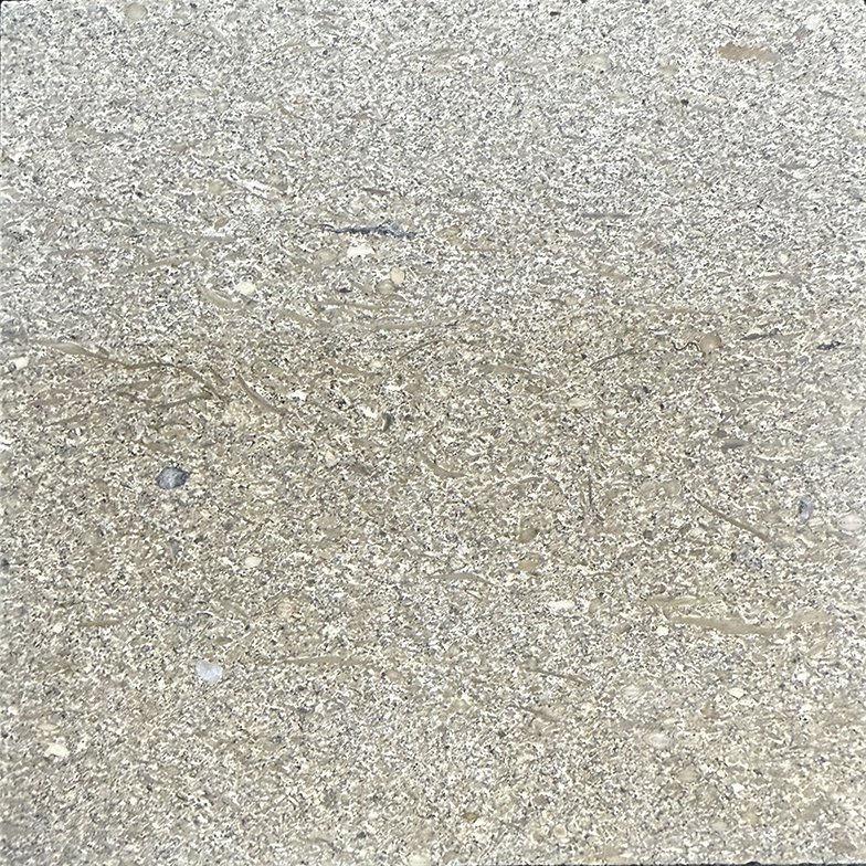 Moca Grey Limestone sample