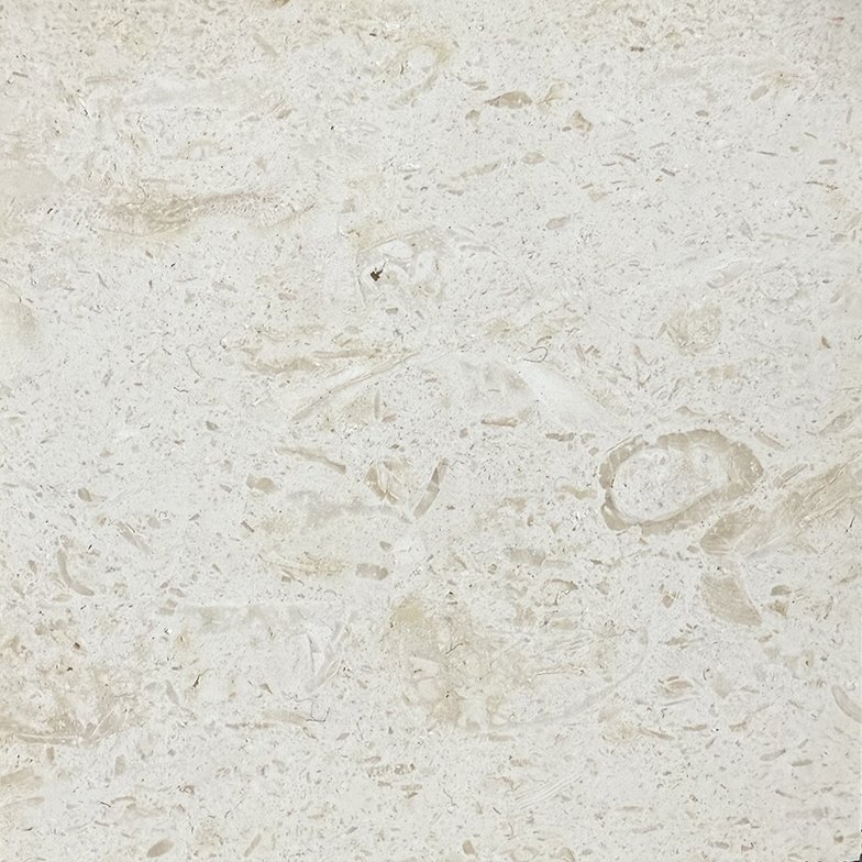 Moonlight Beige Limestone sample
