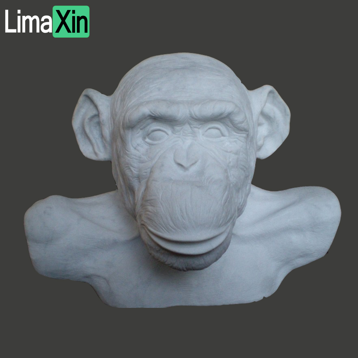 Life size fully hand carved white marble gorilla head statue